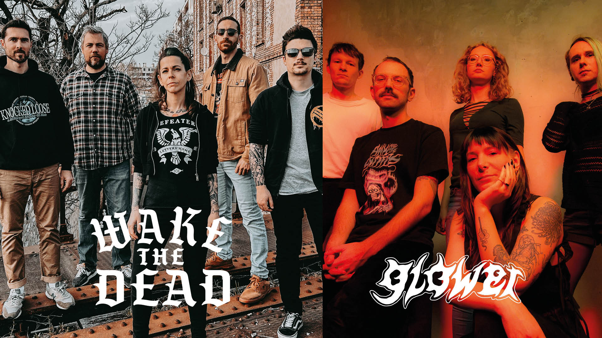 Wake The Dead (fr), Glower