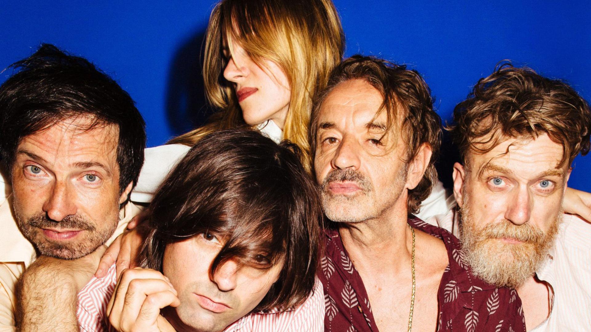 Naked Lunch (at), Die Anteile