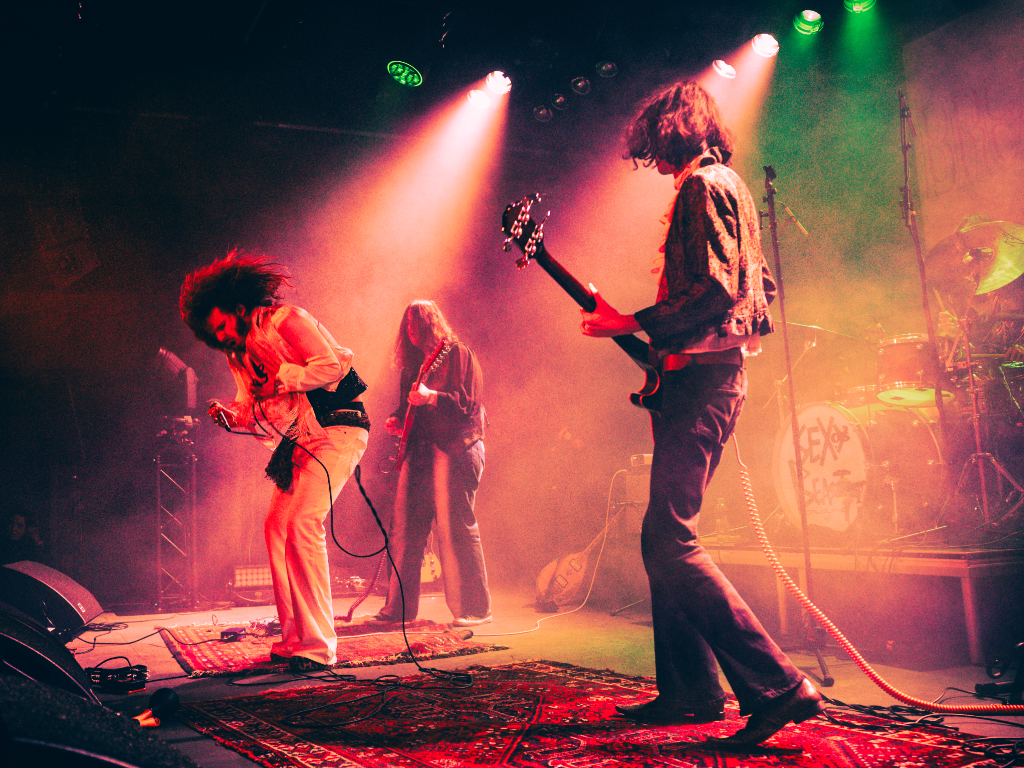 Local Heroes: The Veins + Bloody Mama + Madame Jab