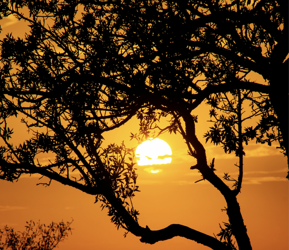 Omgaan met rouw en verlies: bijeenkomst 3