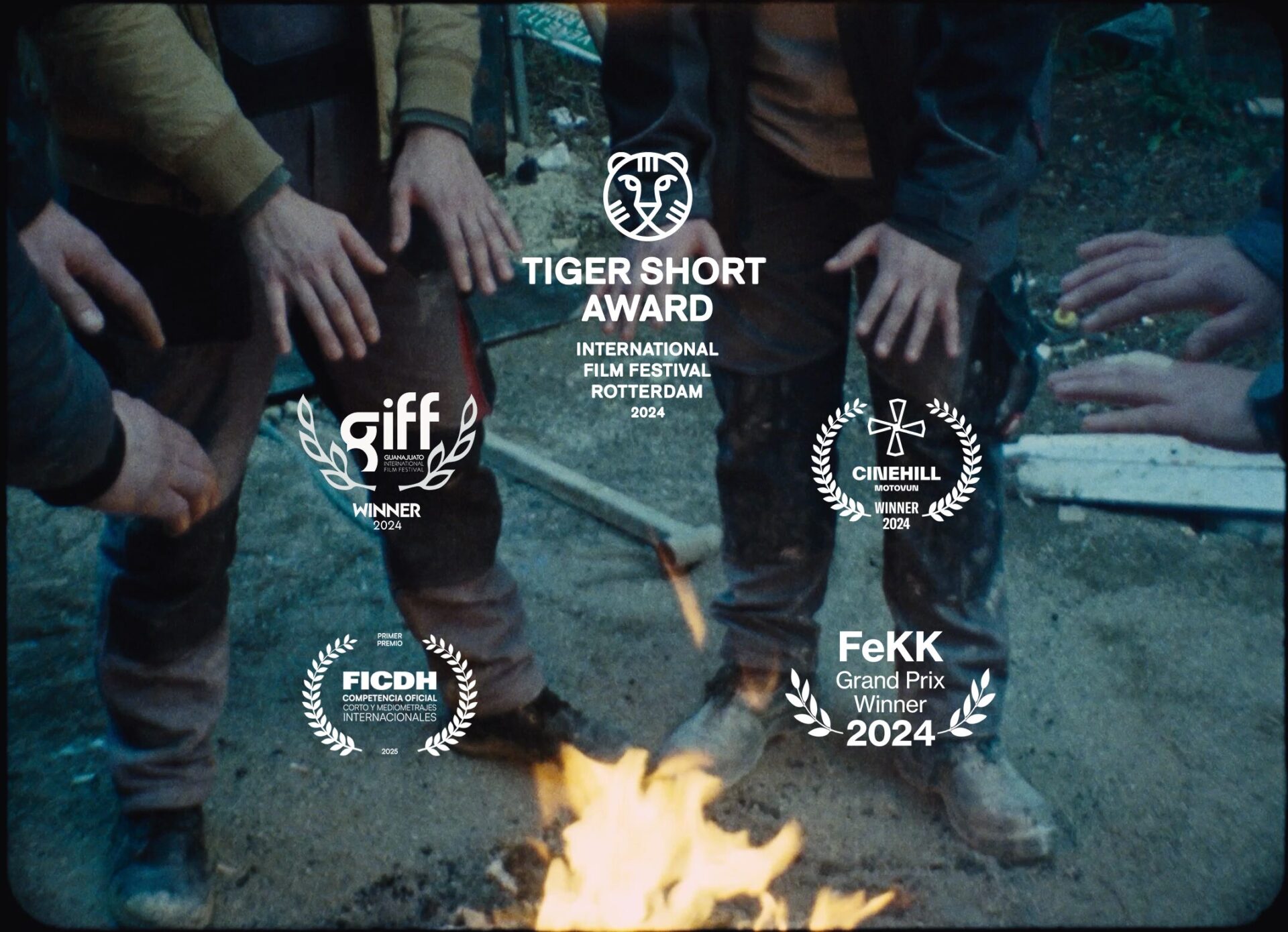 IFFR Filmclub in Dokhuis