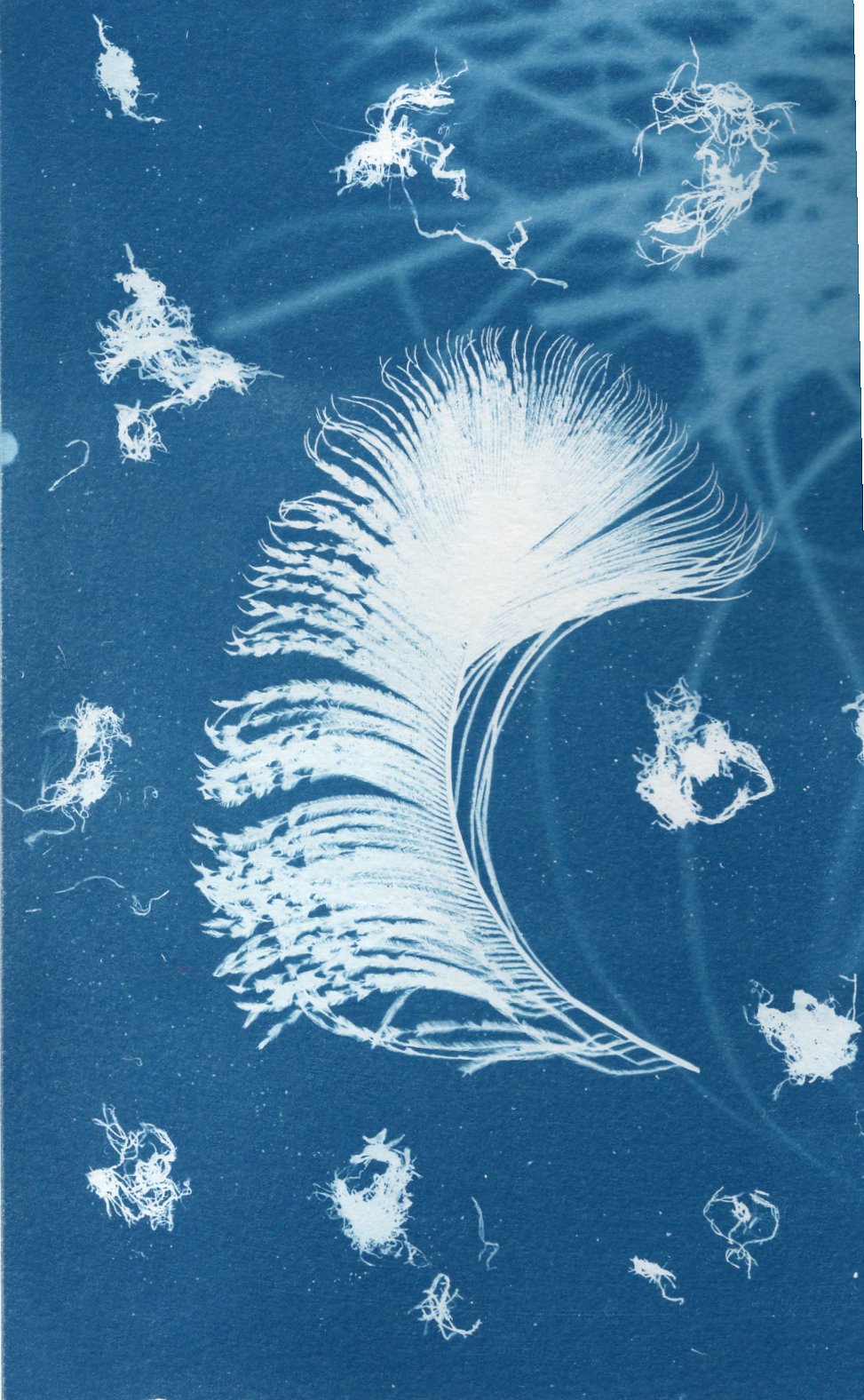 Forgotten Crafts – Cyanotype printing 1
