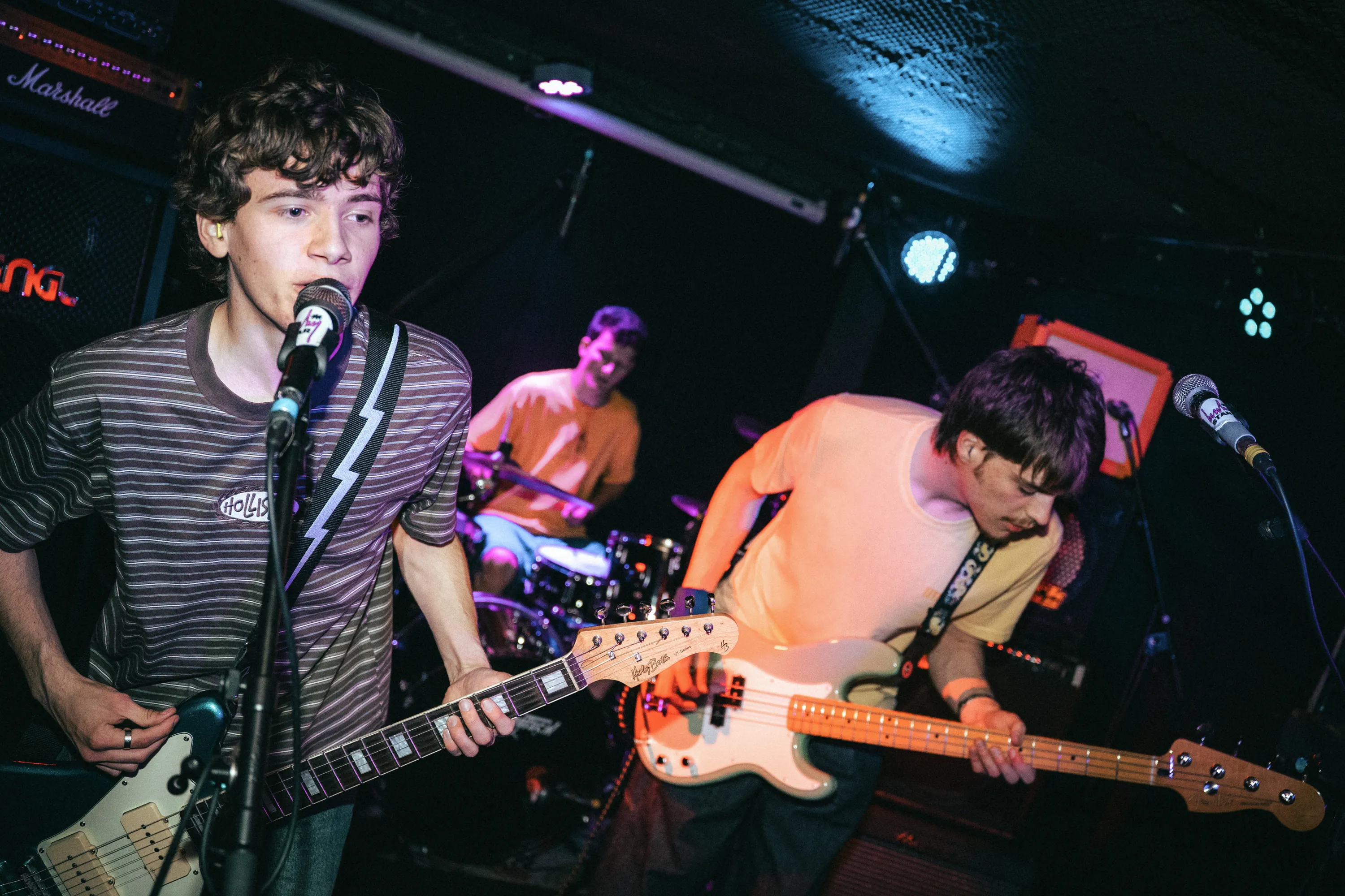 Dag 0: JonGeduld - MAYPLE + Amused + Rewilding poster